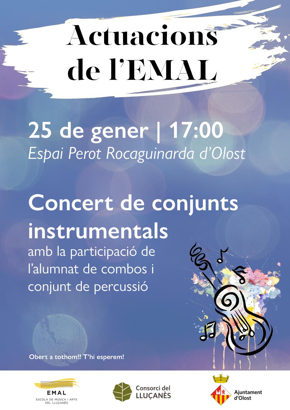 Concert de Conjunts instrumentals de l'EMAL